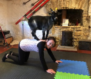 Goat pilates 4